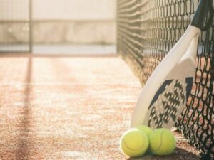 MIND PADE2 MIND PADE2